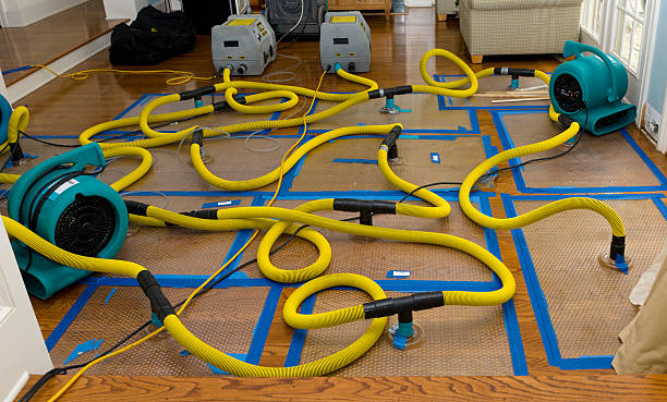 Professional Water Extraction technician working in La Mirada, CA
